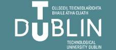 Dublin University (DIT)